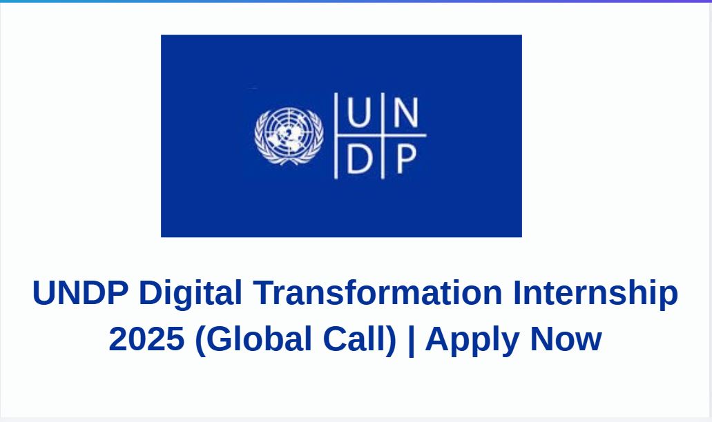 UNDP Digital Transformation Internship 2025